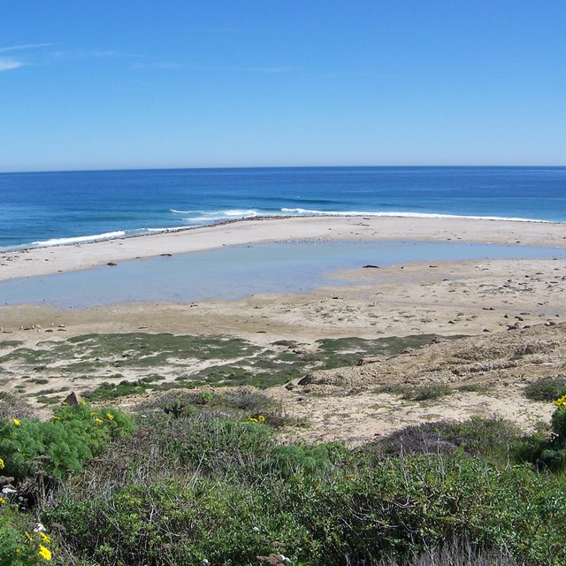 San Nicolas Island Sandspit. ©Steve Schwartz