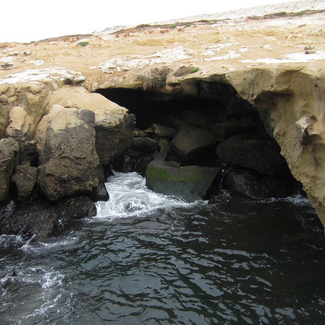 San Nicolas Island Sea Cave. ©Steve Schwartz