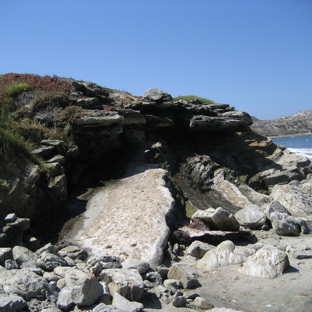 San Nicolas Island Spring. ©Steve Schwartz