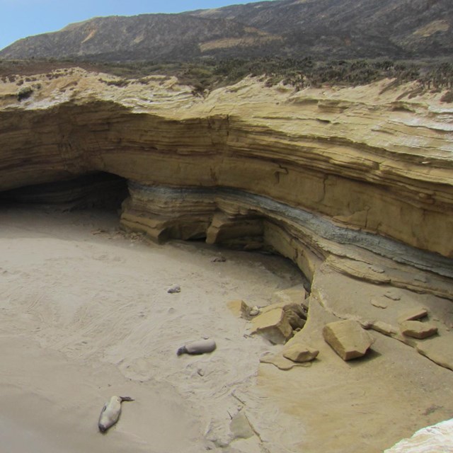 San Nicolas Island coastline. © Steve Schwartz