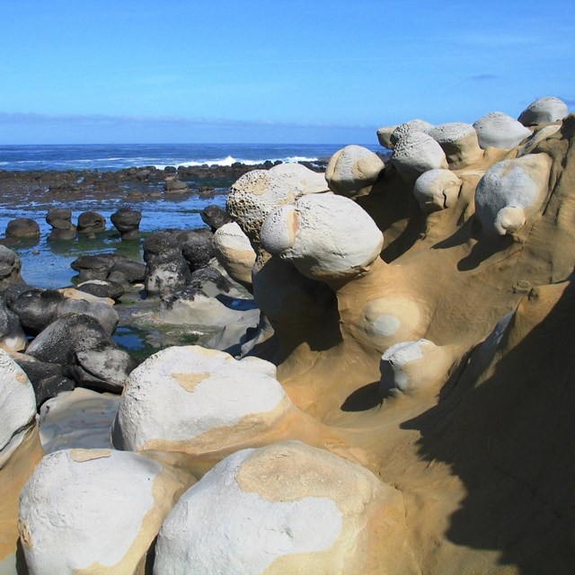 San Nicolas Island coastline. © Steve Schwartz