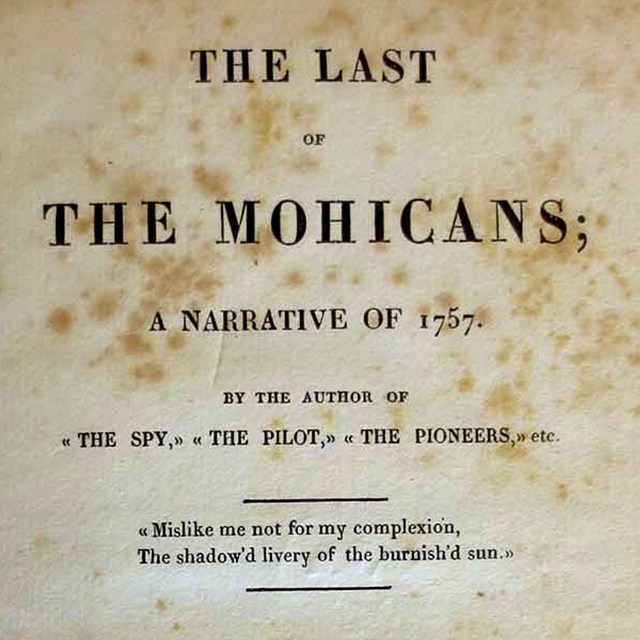 Cover of Last of the Mohicans