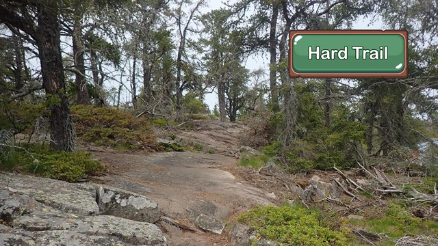 A rocky trail.