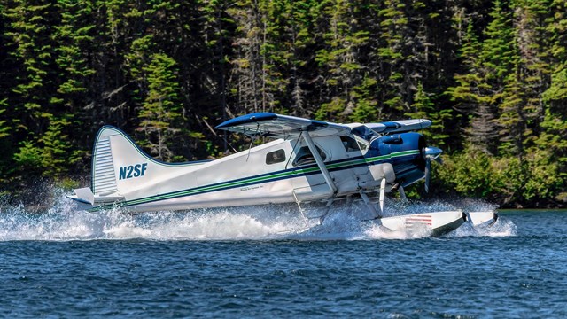 Seaplane lands in Tobin Harbor with evergreens in the background.