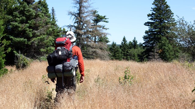 Backpacker hikes through meadow on a sunny day.