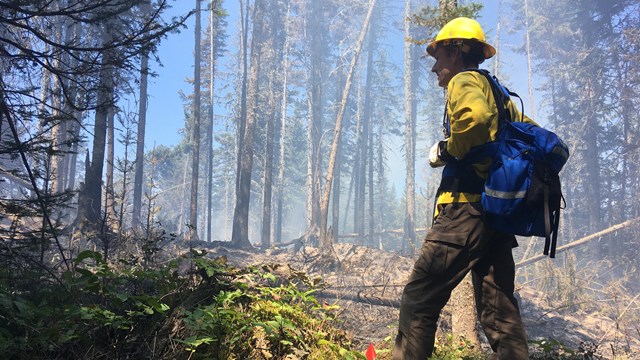 A firefighter in a yellow hard hat and blue fire pack watches the ground smoke.