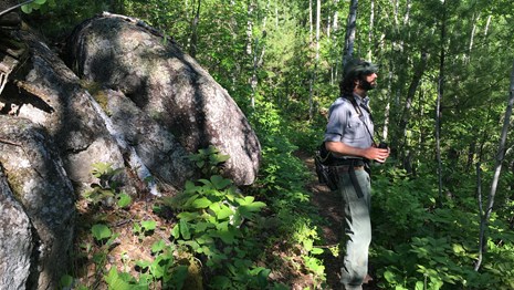 A person wearing an NPS uniform and holding binoculars stands in a forest next to a large rock.