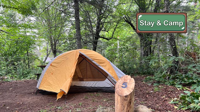An orange tent set up in a camp site marked #5.