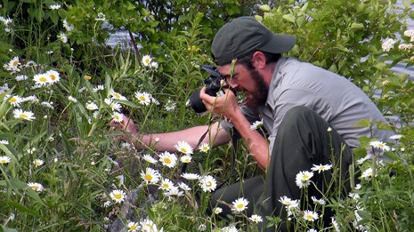 A person in a backwards hat kneels to the ground and takes a picture of something in the brush.