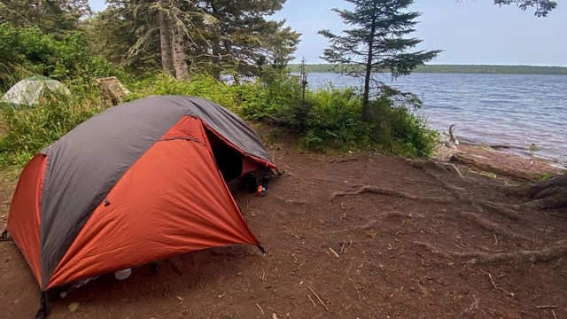 An orange tent sits at a wooded campsite facing Lake Superior. 