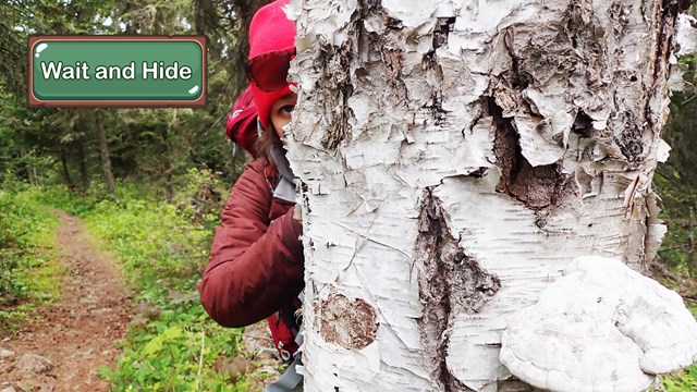 A person peers around a tree they're hiding behind.
