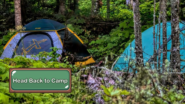 Two colorful tents pitched in a clearing in the woods.