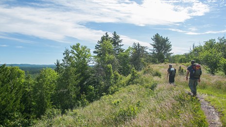 People with backpacks hike along a trail surrounded by tall grass and forest. 
