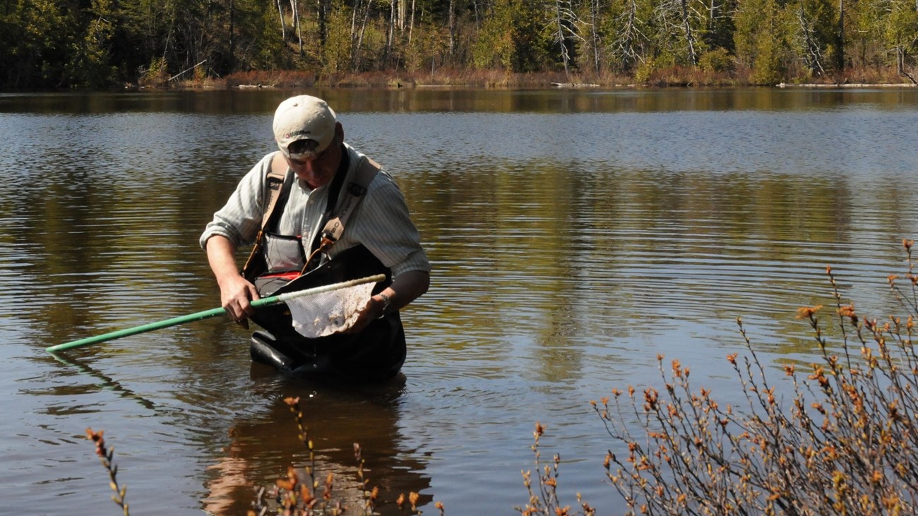 A person wearing waders examines the contents of a net while standing in a lake.