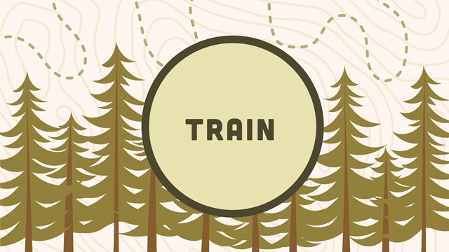 A graphic reading "Train."