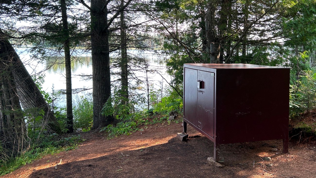 A large, brown, metal box in the woods next to a lake.