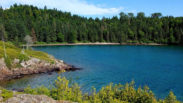 Rocky shoreline with deep blue waters, with a row of deep green evergreens lining the shore.