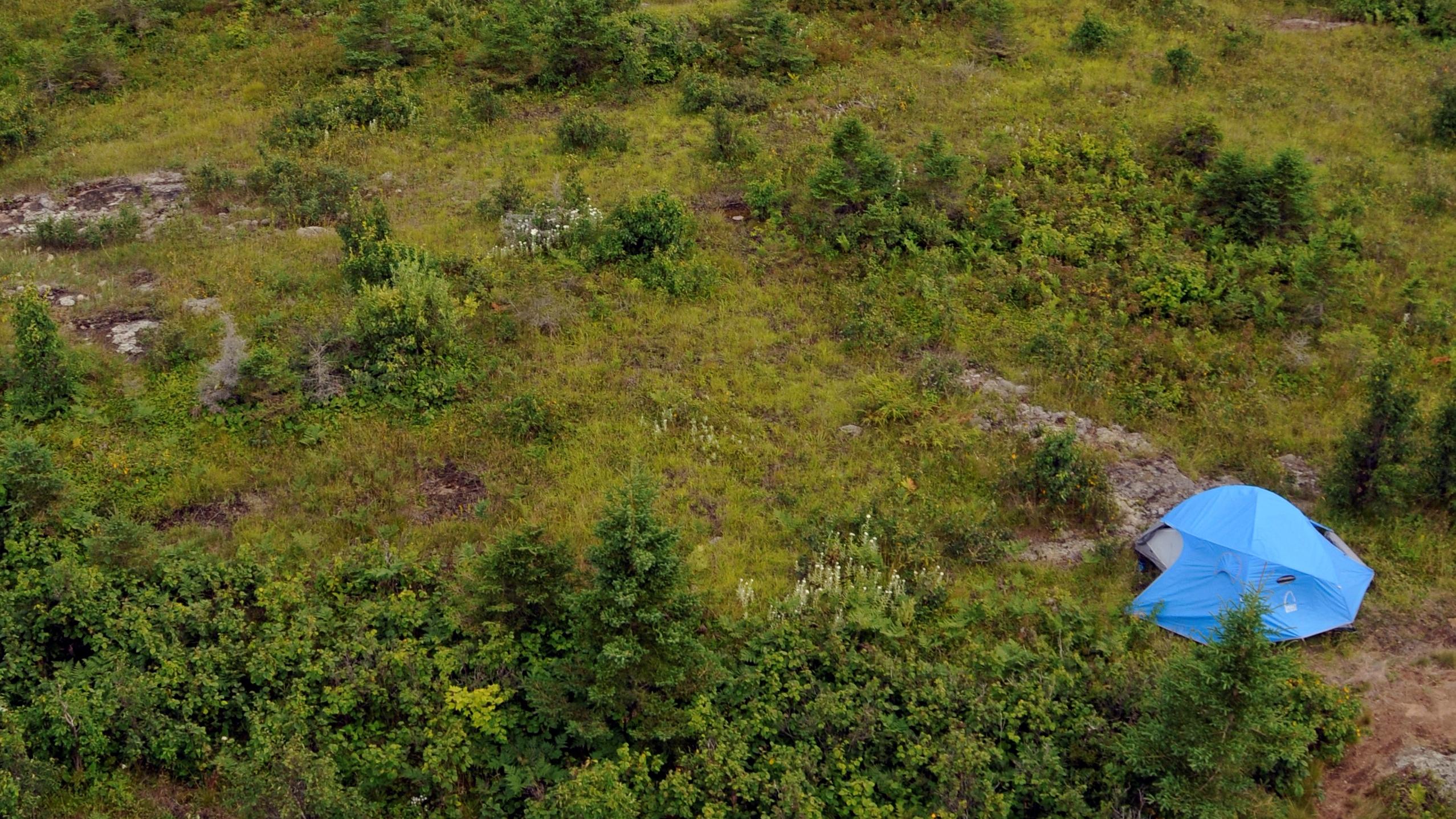 An aerial image of a small blue tent set up in a grassy forest with a lake in the distance.