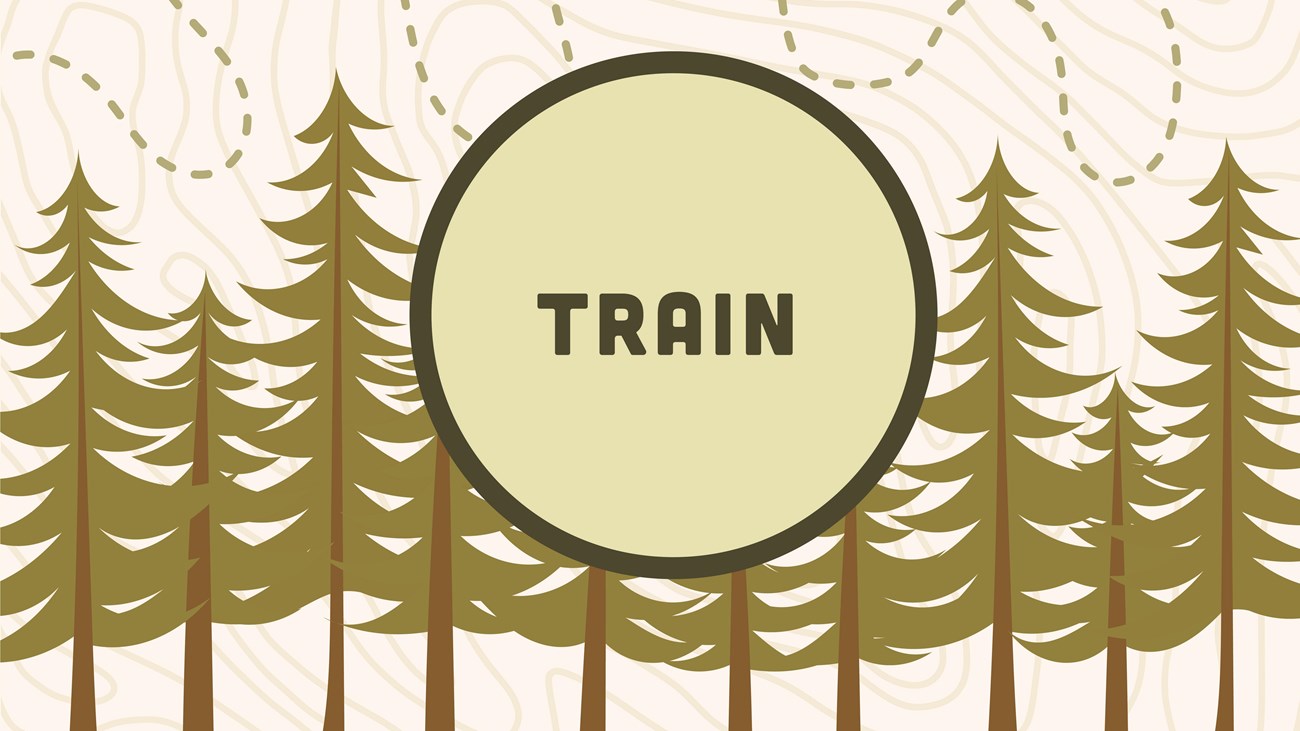 A graphic reading "Train."