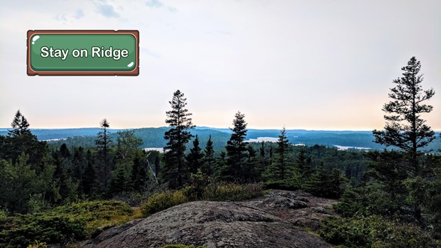 A rocky tree-lined ridge.