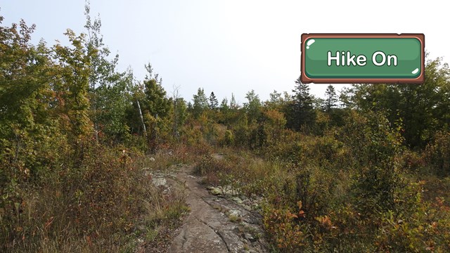 A trail.