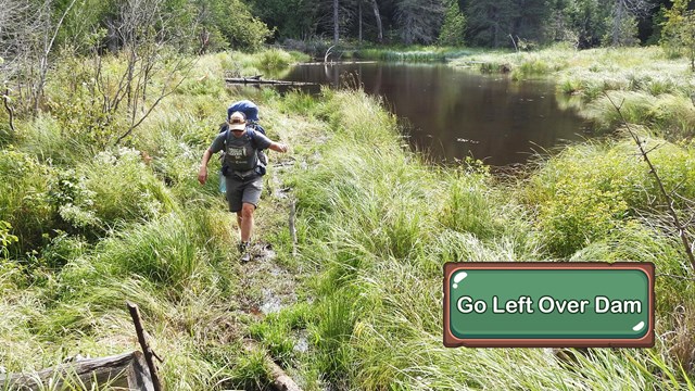 A person walks carefully through a muddy swamp next to a pond.