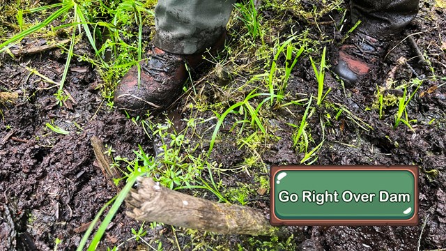 A close-up view of muddy boots walking through a mud pit.