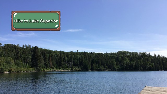A wooden dock on a lake with trees lining the shoreline.