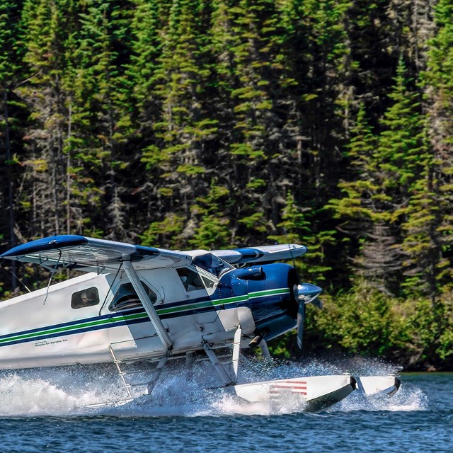 Seaplane lands in Tobin Harbor with evergreens in the background.