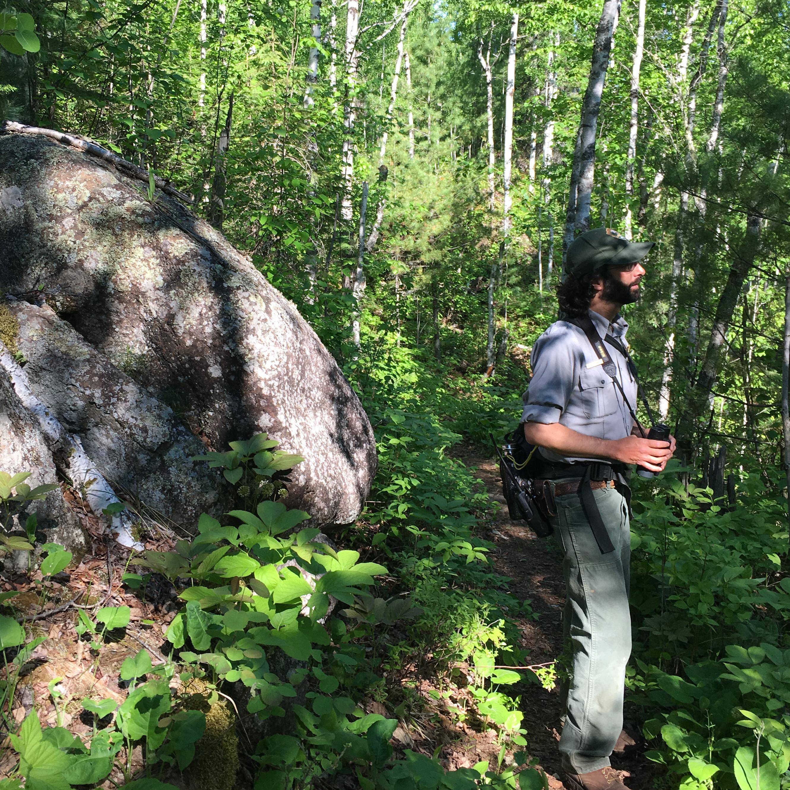 A person wearing an NPS uniform and holding binoculars stands in a forest next to a large rock.