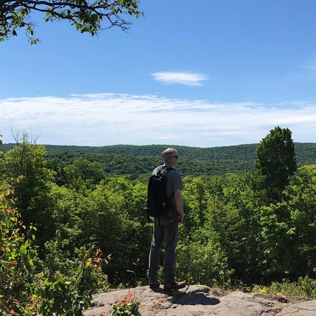 A hiker standing on rocks overlooking a green forest.
