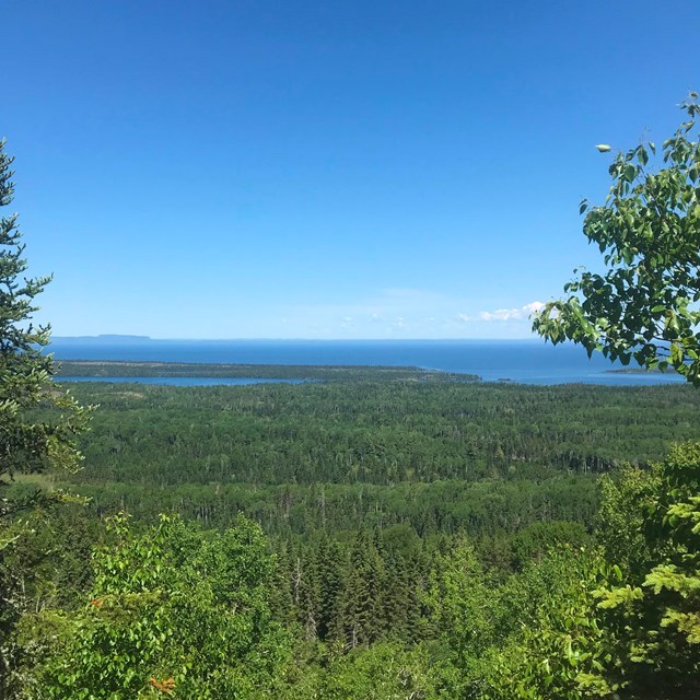 Overlook surrounded by trees with a view of Lake Superior.