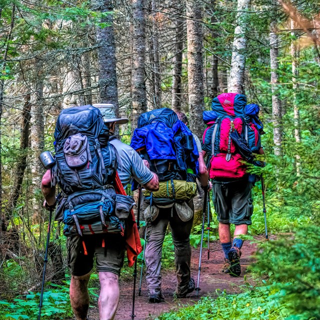 Three people with backpacks hike along a trail in a forest. 