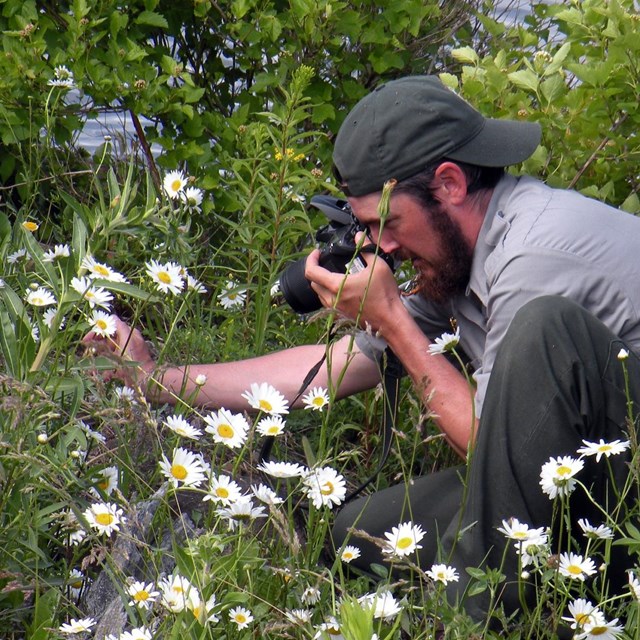 A person in a backwards hat kneels to the ground and takes a picture of something in the brush.