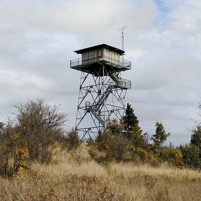 The Feldtmann tower towering over a dry field of vegetation. 