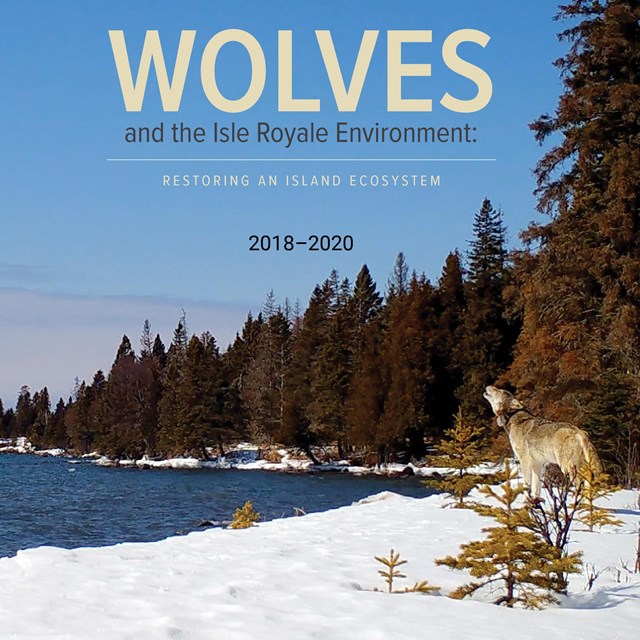 A wolf howls on the snow-covered Lake Superior shoreline