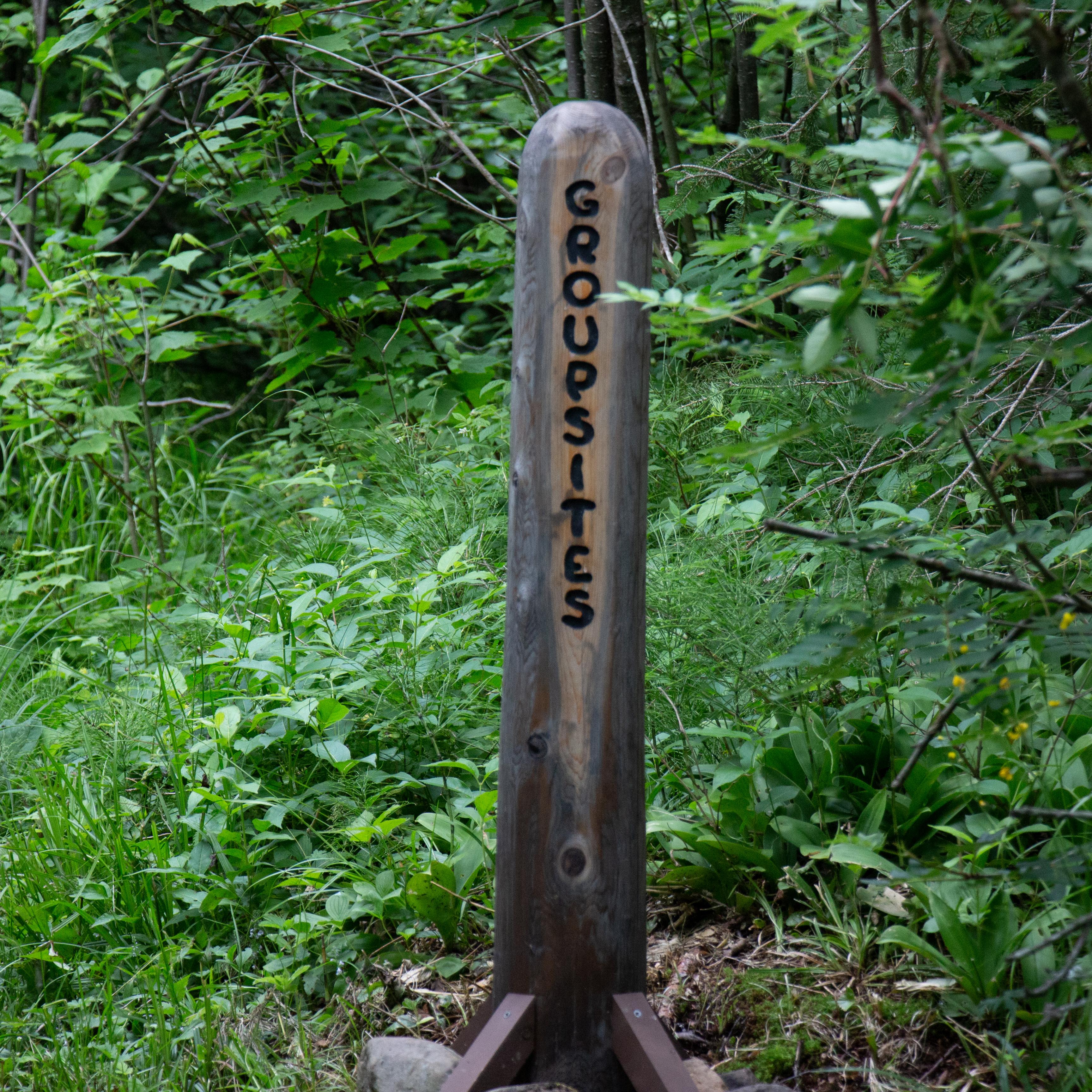 A wooden group camping post in the beginning of a trail head.