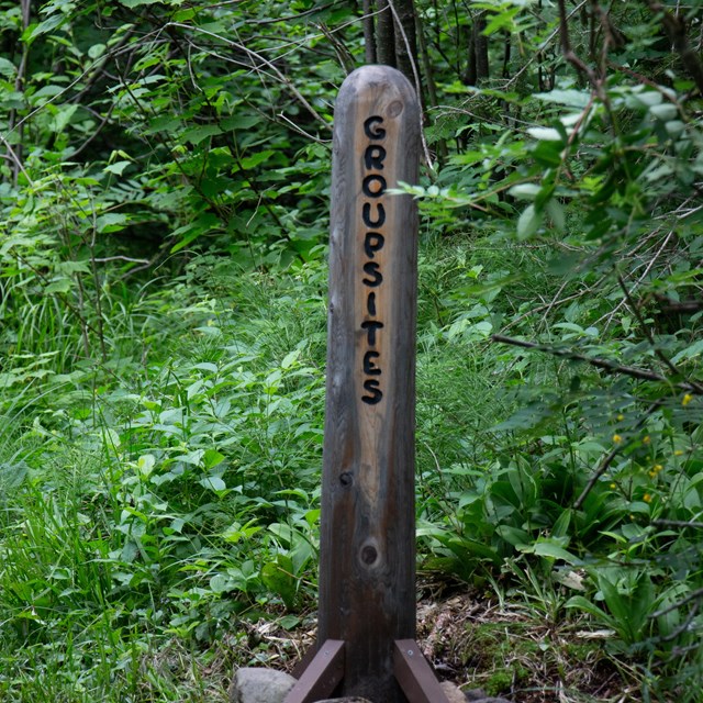 A wooden group camping post in the beginning of a trail head.