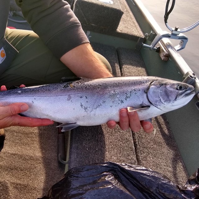 Fishing - Isle Royale National Park (U.S. National Park Service)