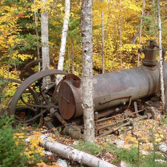 large steam engine in the middle of the forest