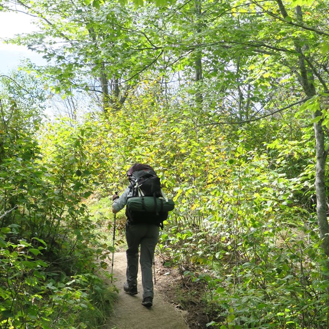 A person with a backpack hikes up a steep trail on Isle Royale. 