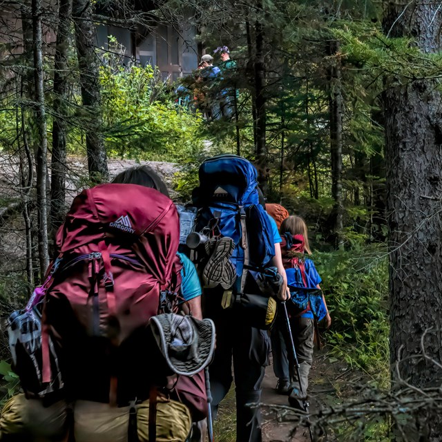 A group of three backpackers hikes in the woods.