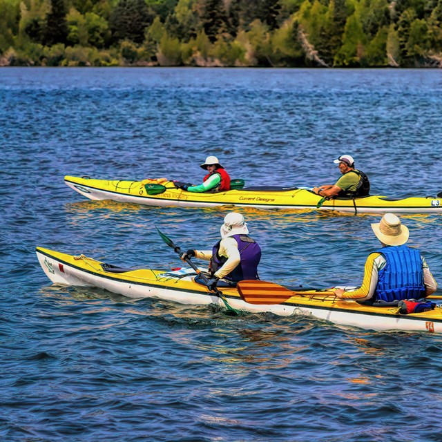Four people in two yellow tandem kayaks paddle on Lake Superior.