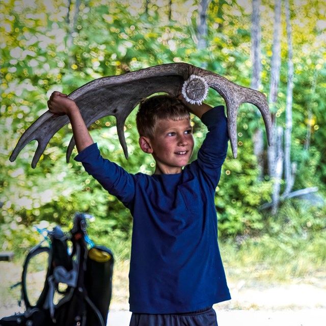 A young boy holding a large moose antler over his head.