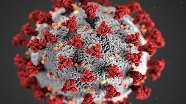 Info on the coronavirus and the NPS