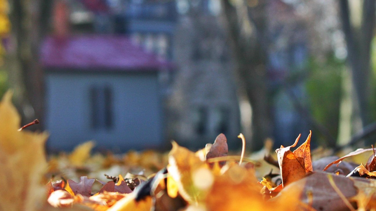 Fall leaves on the ground in the foreground; north side of Garfield home in background.