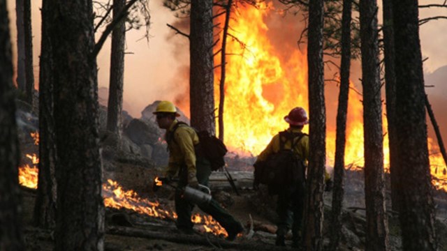 Two wildland firefighters on a prescribed burn.