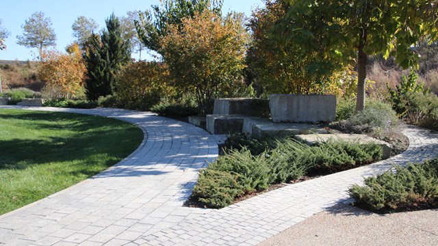 Two diverging brick walking paths, with garden plants growing between them.