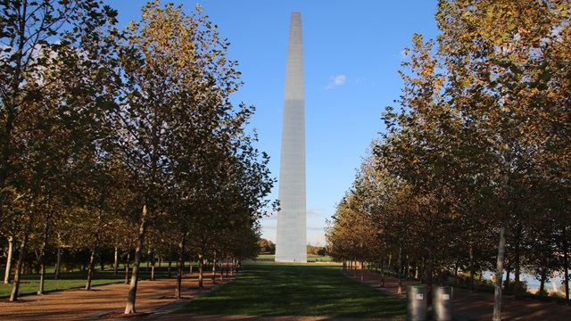 Fall trees line paths on either side of a walking path. The Gateway Arch is behind.