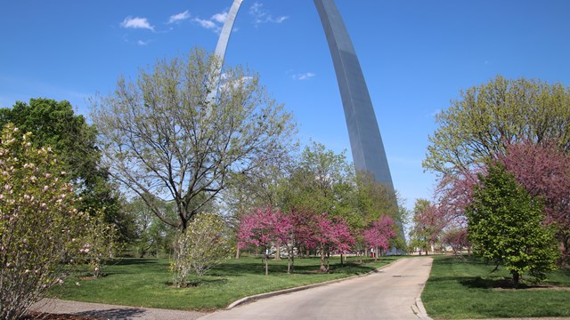 The stainless steel arch, shaped like an upside down U, with various trees and shrubs